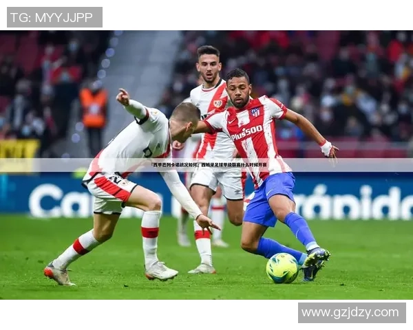 足球场上的六边形球星究竟有多少 他们的独特魅力与贡献分析